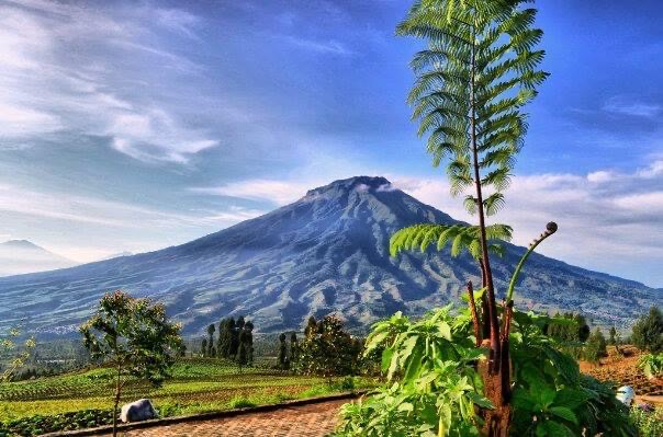 How to go from Yogyakarta to Temanggung
